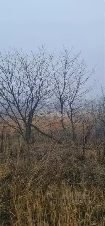Участок в Белгородская область, Белгородский район, Разумное рп ул. ... - Фото 1