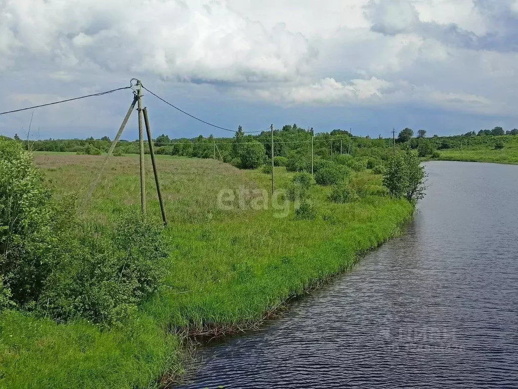 Участок в Ленинградская область, Волховский район, Бережковское с/пос, ... - Фото 1