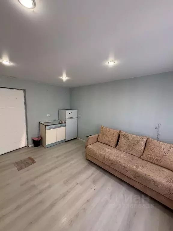 Студия Нижегородская область, Бор ул. Чугунова, 13 (15.9 м) - Фото 1