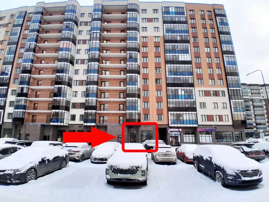 Помещение свободного назначения в Ленинградская область, Всеволожский ... - Фото 1