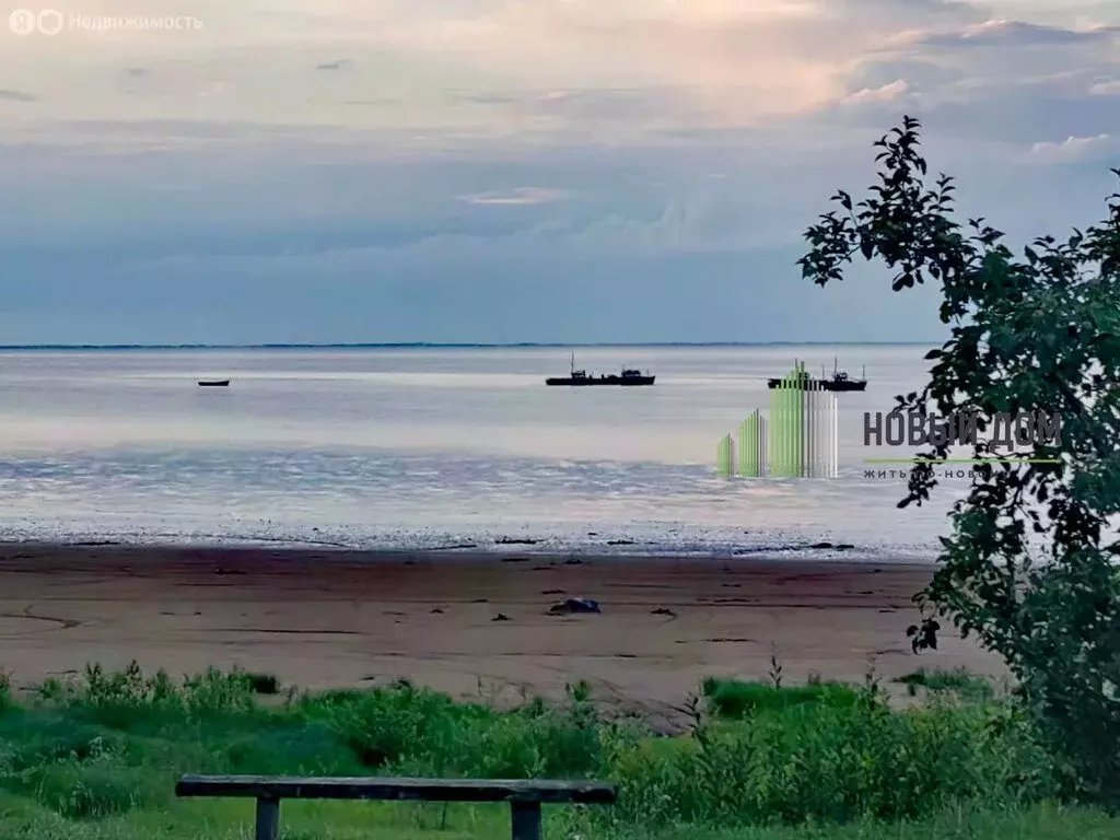 Участок в Новгородская область, Старорусский муниципальный округ, ... - Фото 1