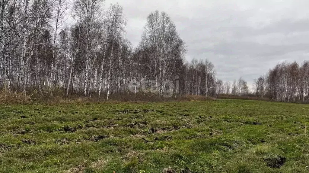 Участок в Тюменская область, Нижнетавдинский район, пос. Торгили ... - Фото 1