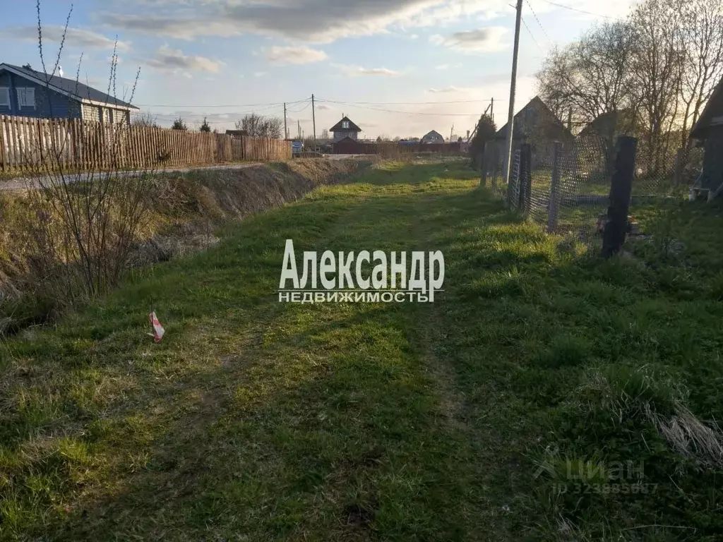 Участок в Ленинградская область, Кировский район, с. Путилово  (20.0 ... - Фото 2