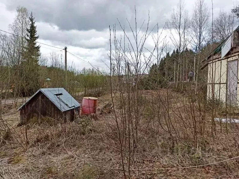 Участок в Ленинградская область, Выборгский район, Рощинское городское ... - Фото 1