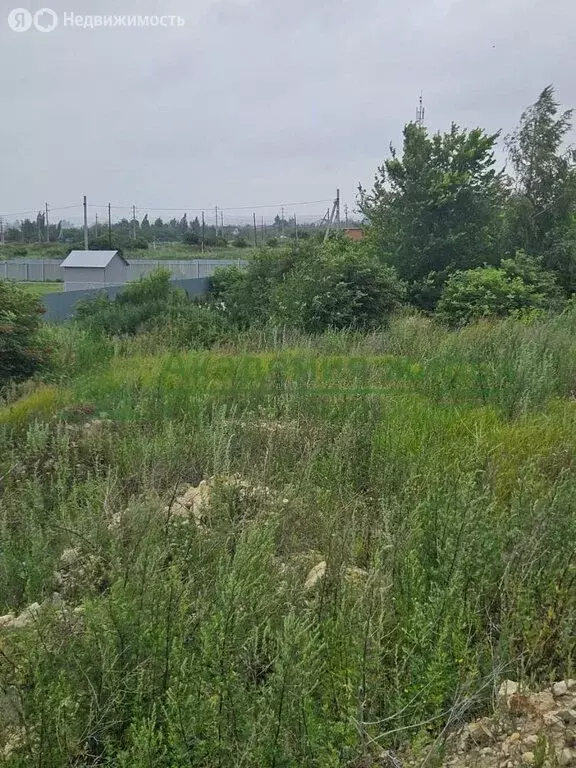Участок в Саратов, СНТ Берёзка (41 м) - Фото 1
