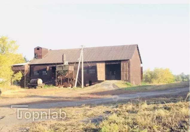 Производственное помещение в Алтайский край, с. Родино ул. Ленина, 8 ... - Фото 2