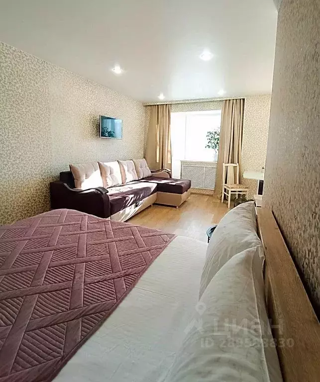 1-к кв. Тюменская область, Тюмень Рижская ул., 70 (30.0 м) - Фото 2