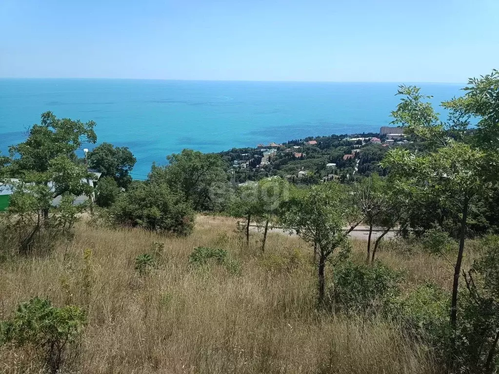 Участок в Крым, Алупка Ялта городской округ,  (6.0 сот.) - Фото 1