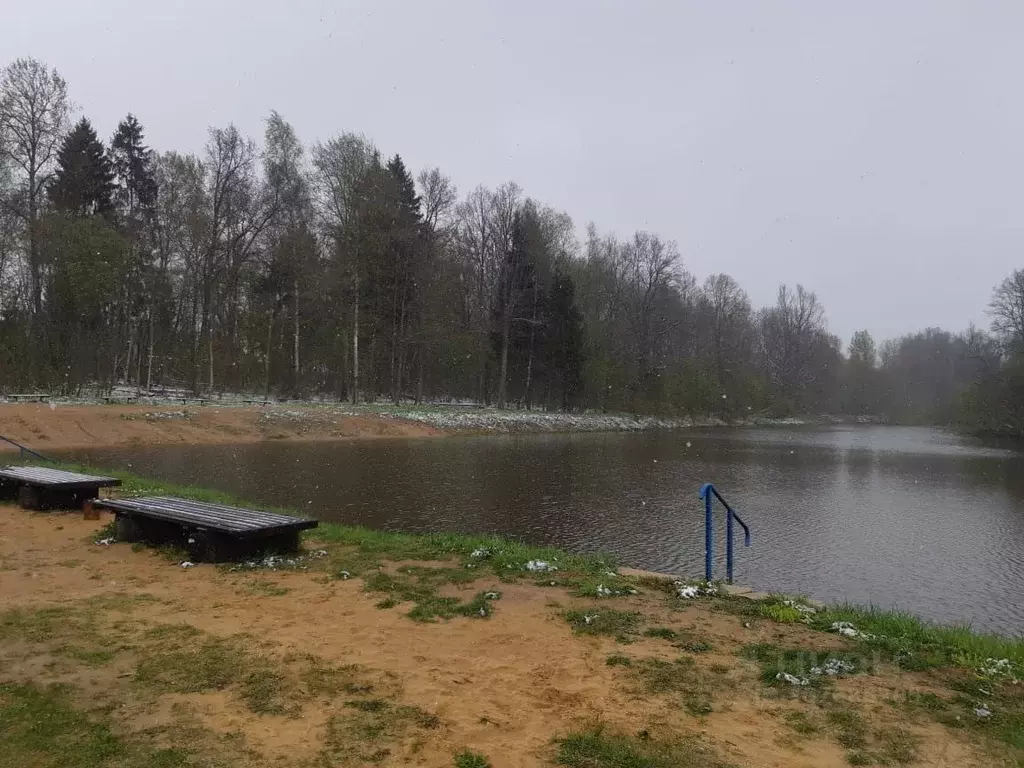 Участок в Владимирская область, Александровский район, ... - Фото 0