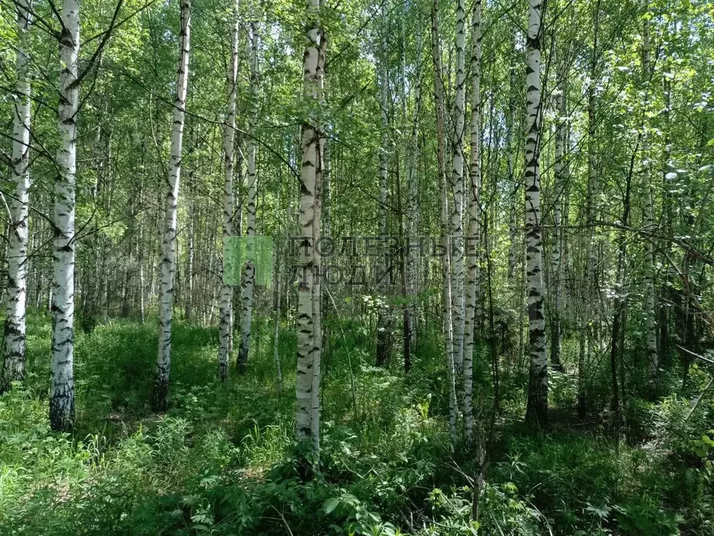 Участок 10 сот. (ИЖС) - Фото 1