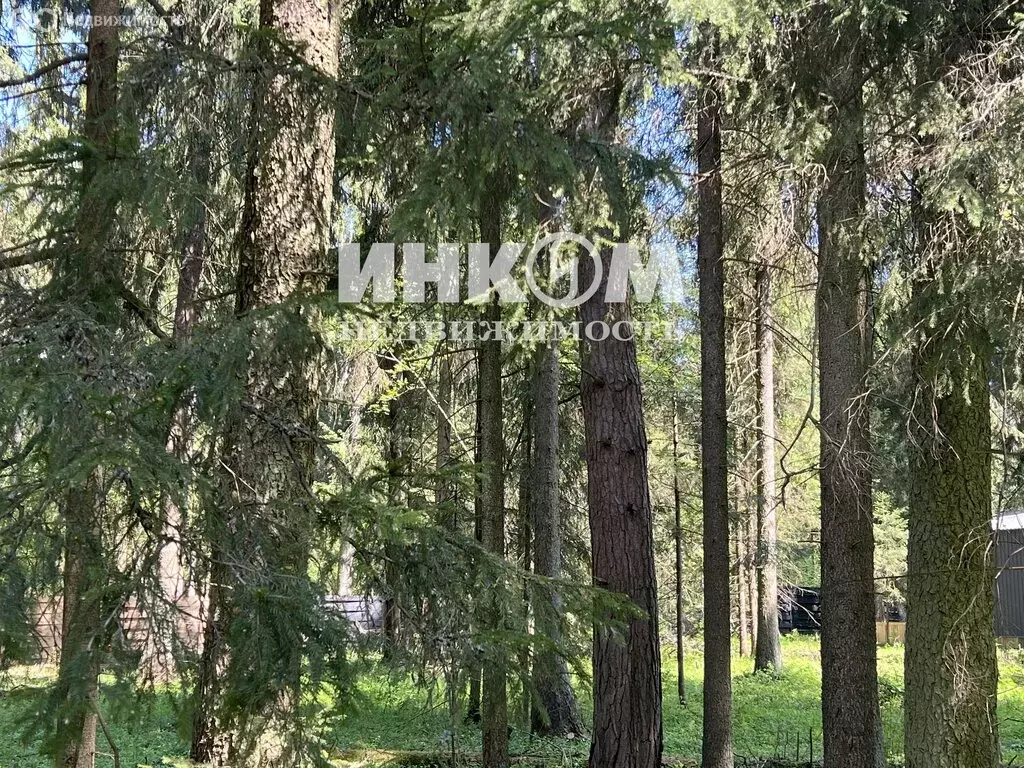 Участок в Московская область, Дмитровский муниципальный округ, деревня ... - Фото 2