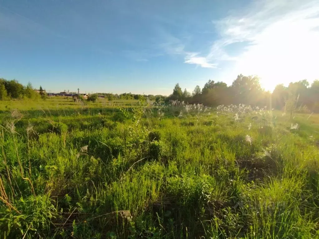 Участок в Нижегородская область, Нижний Новгород д. Новоликеево, ул. ... - Фото 1