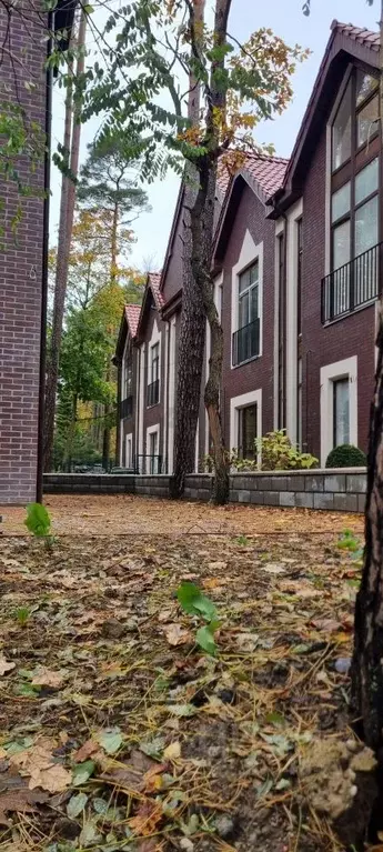 Таунхаус в Калининградская область, Светлогорск ул. Штрауса (140 м) - Фото 1