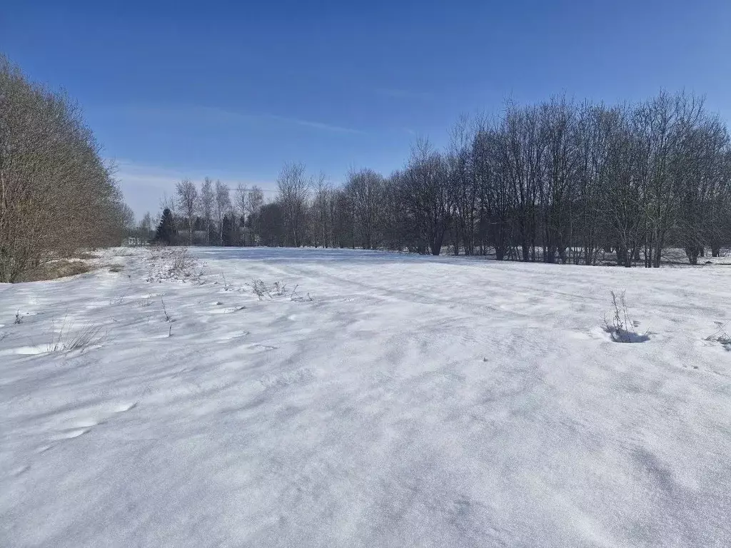 Участок в Московская область, Ступино городской округ, д. Дорки  (20.0 ... - Фото 2