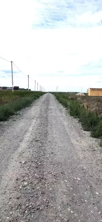 Участок в село Борки, Мехряковская улица (15 м) - Фото 0