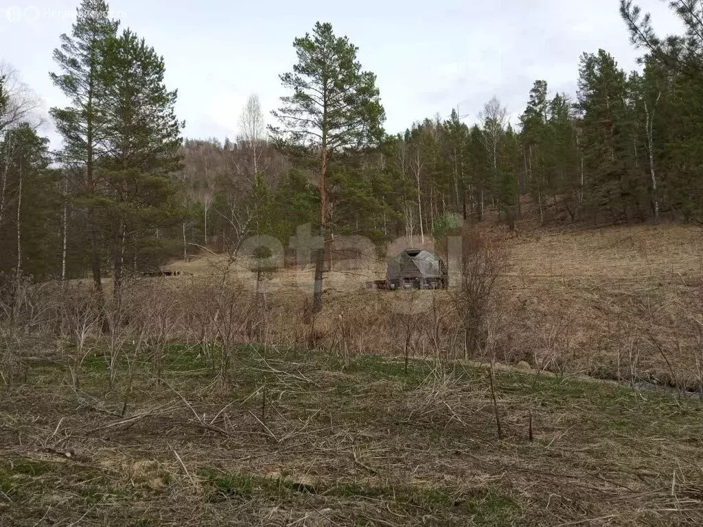 Участок в Чемальский район, село Бешпельтир (580 м) - Фото 2