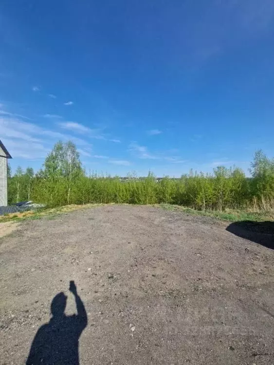 Участок в Иркутская область, Иркутский муниципальный округ, ... - Фото 2