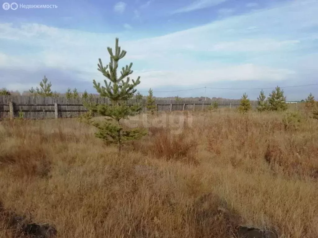 Участок в Курганская область, Кетовский муниципальный округ, посёлок ... - Фото 1