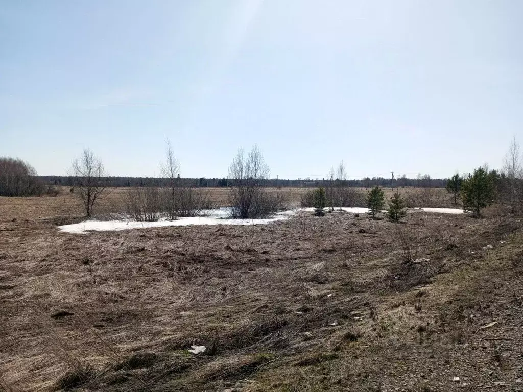 Участок в Томская область, Томский район, д. Воронино Центральная ул., ... - Фото 1