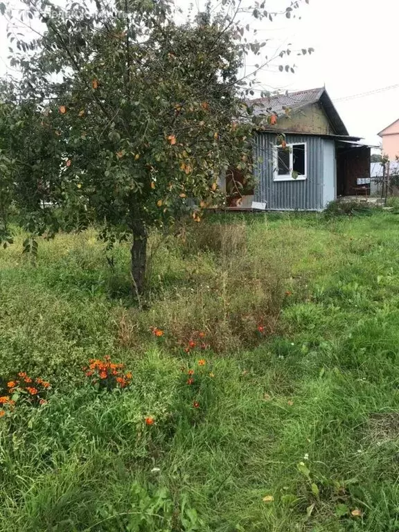 Дом в Калининградская область, Гурьевский муниципальный округ, посёлок ... - Фото 2