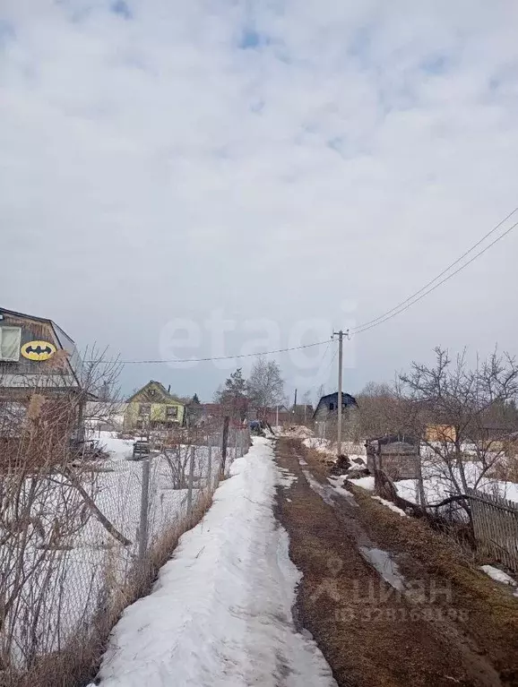 Участок в Вологодская область, Вологда Березка-2 садоводческое ... - Фото 1