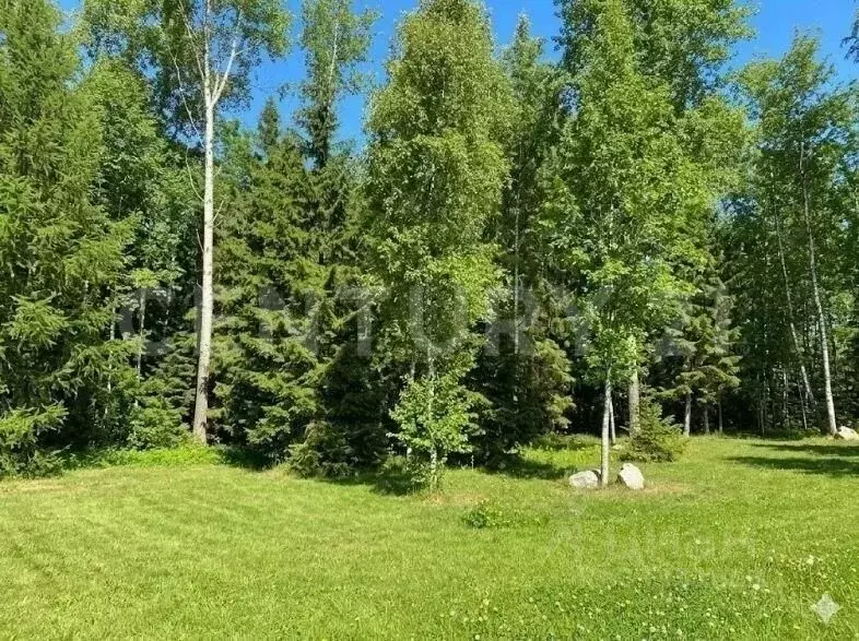 Участок в Ленинградская область, Всеволожский район, Колтушское ... - Фото 2