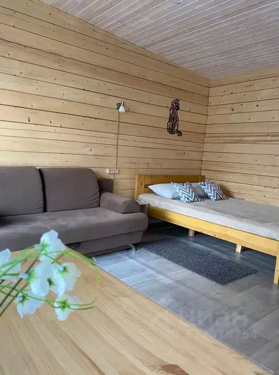 Дом в Алтай, Чемальский район, с. Чемал ул. Сосновая, 1А (22 м) - Фото 0
