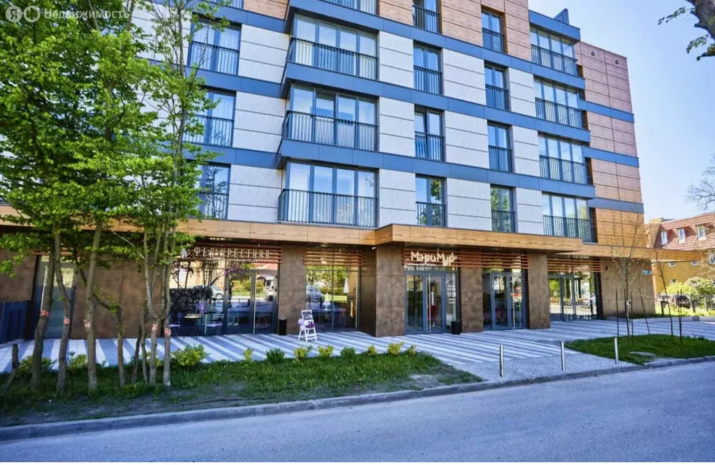 Помещение свободного назначения (37.1 м) - Фото 2