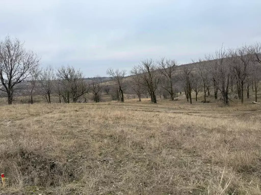 Участок в Волгоградская область, Городищенский район, Царицынское ... - Фото 2