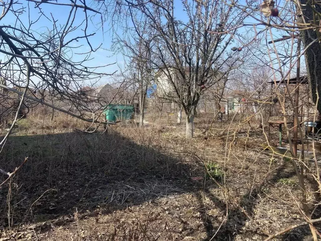 Участок в Ростовская область, Неклиновский район, Вареновское с/пос, ... - Фото 1