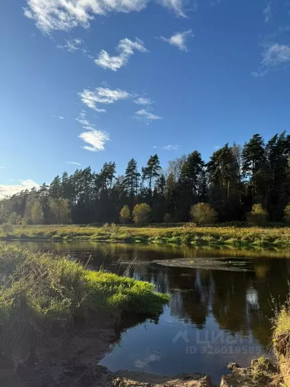 Участок в Московская область, Можайский муниципальный округ, д. ... - Фото 2