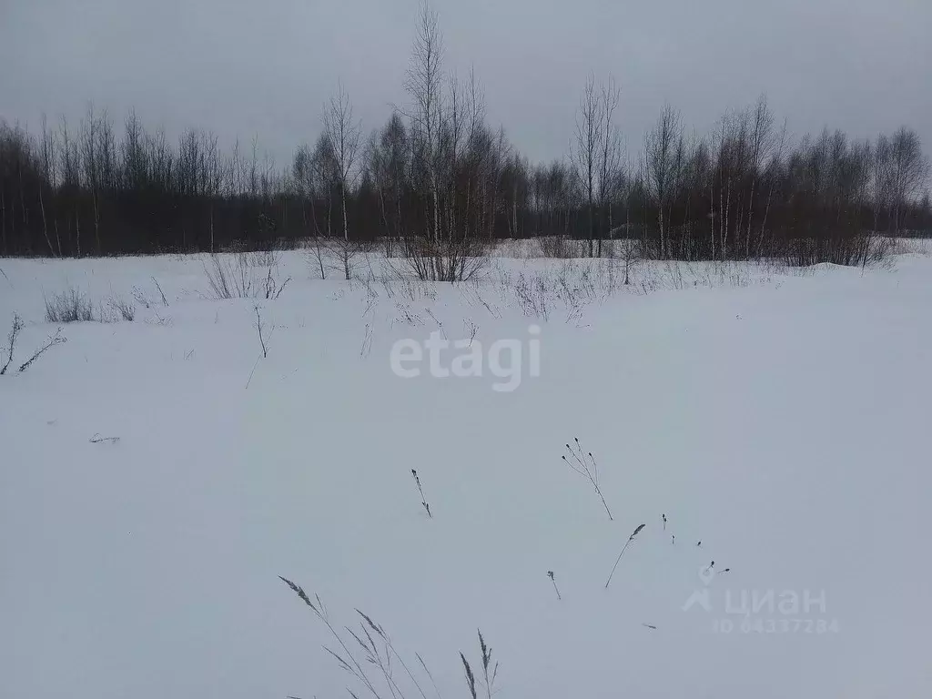 Участок в Нижегородская область, Выкса городской округ, д. Грязная  ... - Фото 0