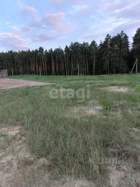 Участок в Липецкая область, Добровский муниципальный округ, с. ... - Фото 1