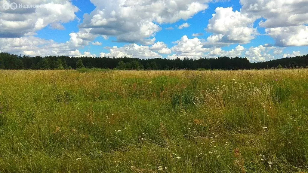 Участок в Тверская область, Калининский муниципальный округ, деревня ... - Фото 1