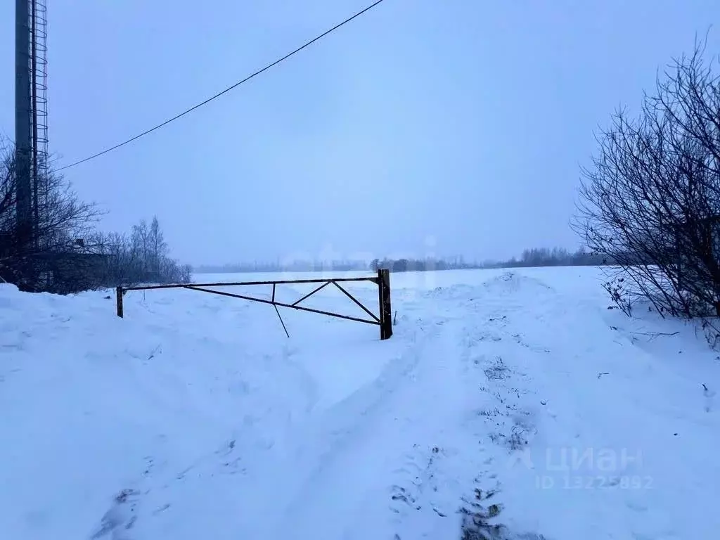 Участок в Вологодская область, Вологда ул. Саммера (10.0 сот.) - Фото 1