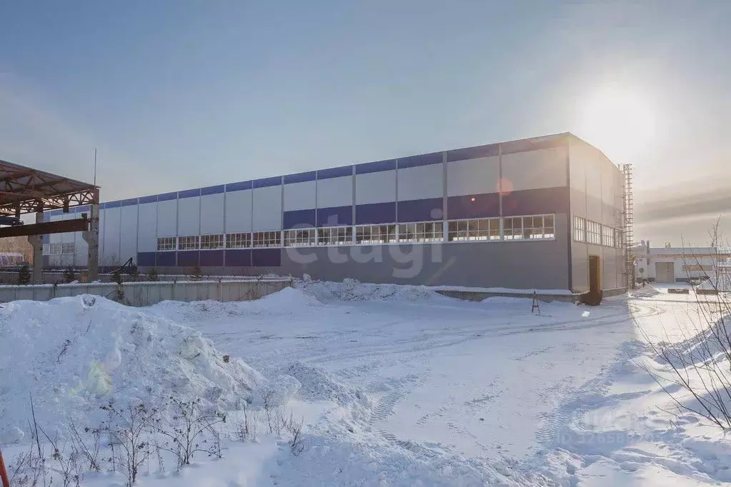 Склад в Новосибирская область, Новосибирск Софийская ул., 2/1 (3000 м) - Фото 2