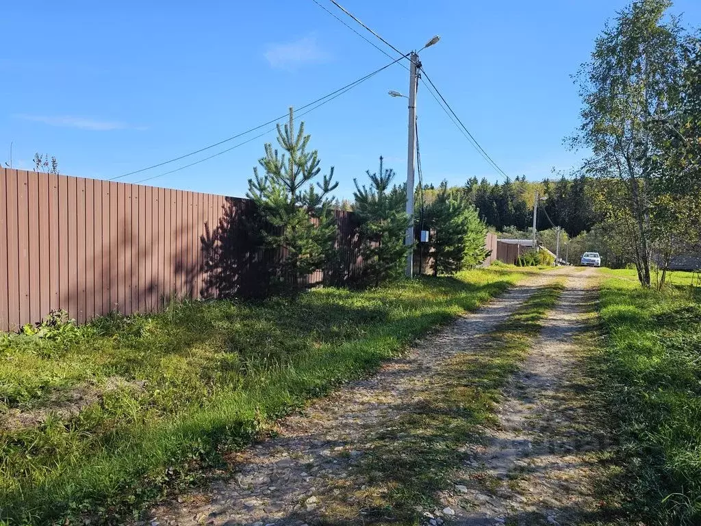 Участок в Московская область, Шаховская городской округ, д. Кобылино  ... - Фото 1