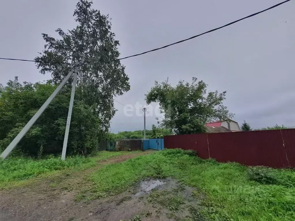 Участок в Еврейская автономная область, Смидовичский район, пос. ... - Фото 2