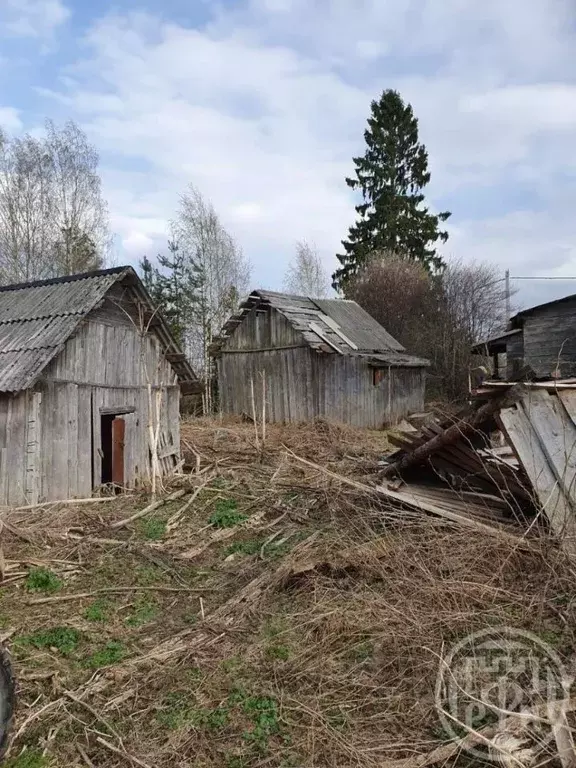 Дом в Ленинградская область, Лодейнопольский район, Алеховщинское ... - Фото 2