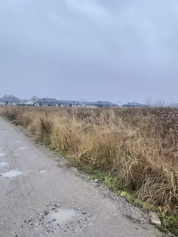 Участок в Калининградская область, Гурьевский муниципальный округ, ... - Фото 1