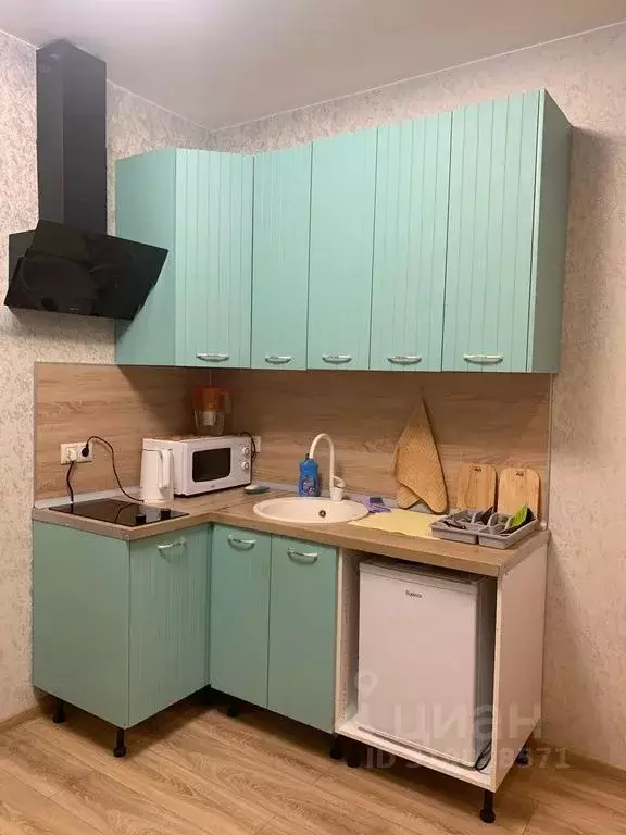 Студия Московская область, Солнечногорск городской округ, Голубое пгт ... - Фото 2