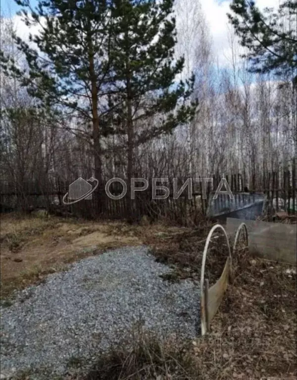 Дом в Тюменская область, Тюменский район, Лесник-2 СНТ ул. ... - Фото 0