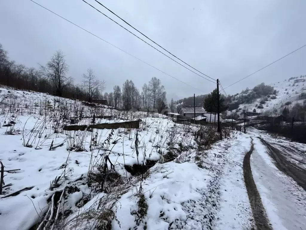 Участок в Алтай, Горно-Алтайск Бочкаревка СНТ,  (8.0 сот.) - Фото 0