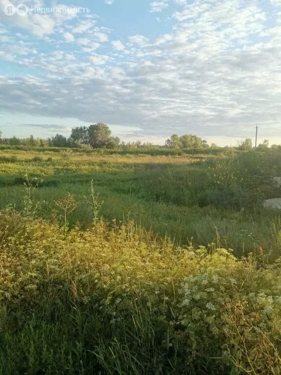 Участок в Весенний сельсовет, СНТ Карачи, 11-я линия (495 м) - Фото 0