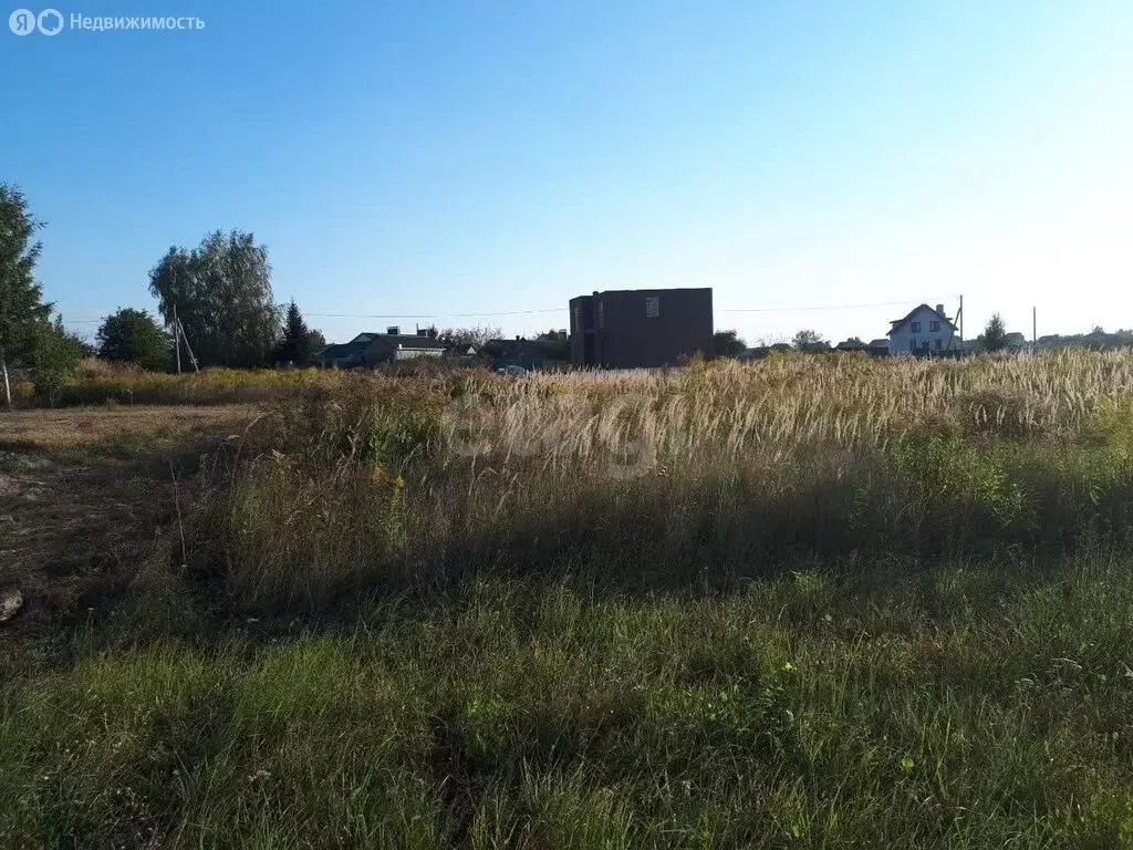 Участок в Брянский район, Отрадненское сельское поселение, село ... - Фото 1
