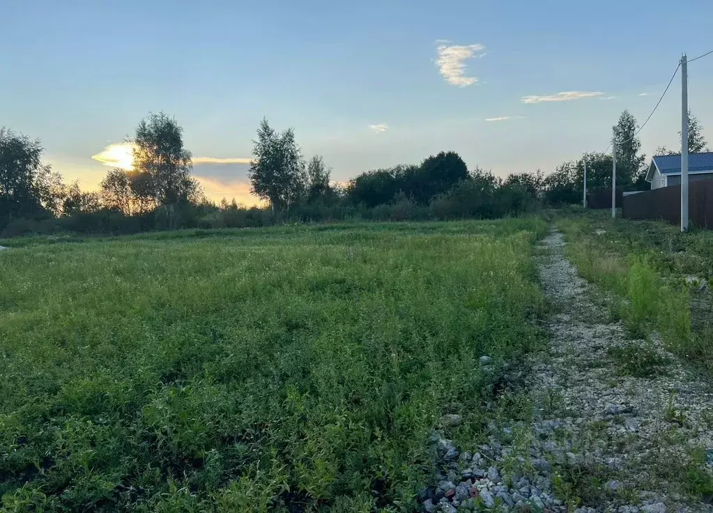 Участок в Ленинградская область, Гатчинский муниципальный округ, д. ... - Фото 2