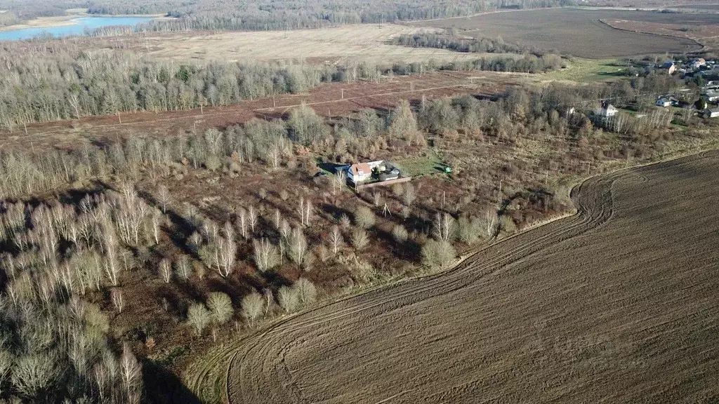 Участок в Калининградская область, Зеленоградский муниципальный округ, ... - Фото 1