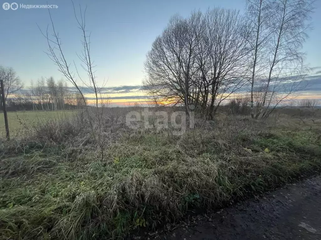 Участок в Щёкинский район, сельское поселение Лазаревское, село ... - Фото 2