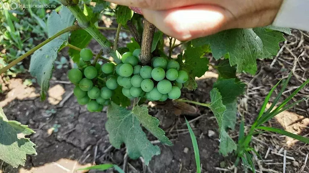 Дом в Чекон, Горная улица (25 м) - Фото 1