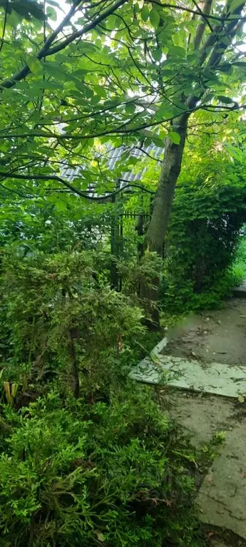 Дом в Московская область, Раменский муниципальный округ, д. Верея 162А ... - Фото 2